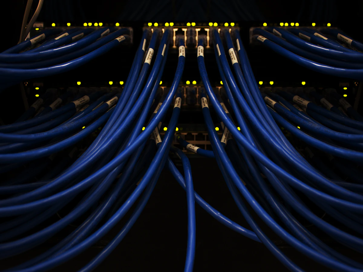 Labelled network cables connected to switches in a rack